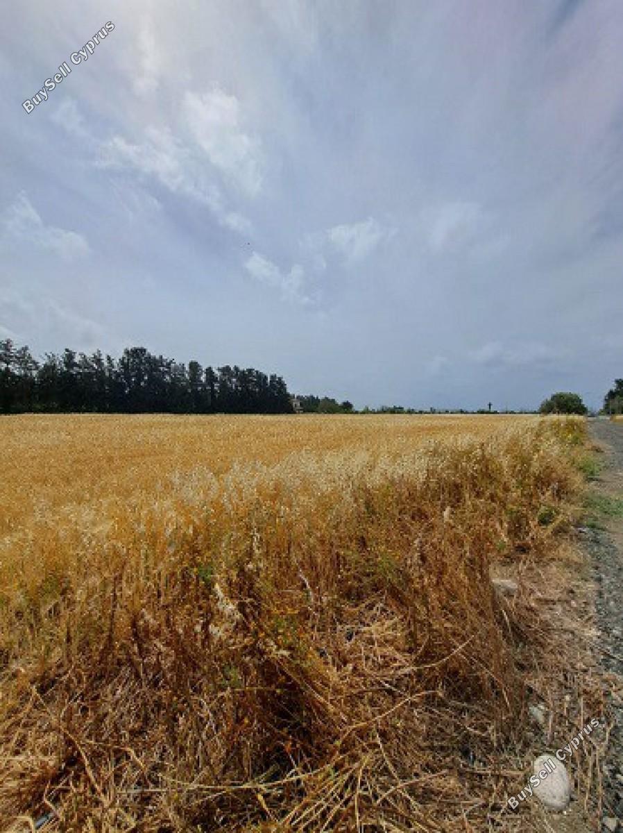 land for sale geroskipou paphos 8395963 image 14822604