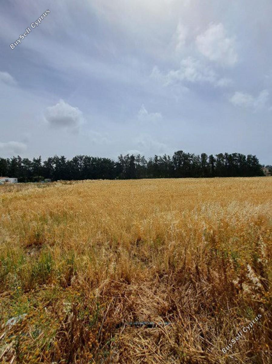 land for sale geroskipou paphos 8395963 image 14822605