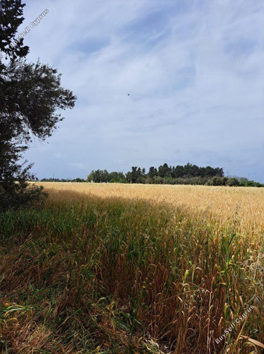 land for sale geroskipou paphos 8395963 image 14822607