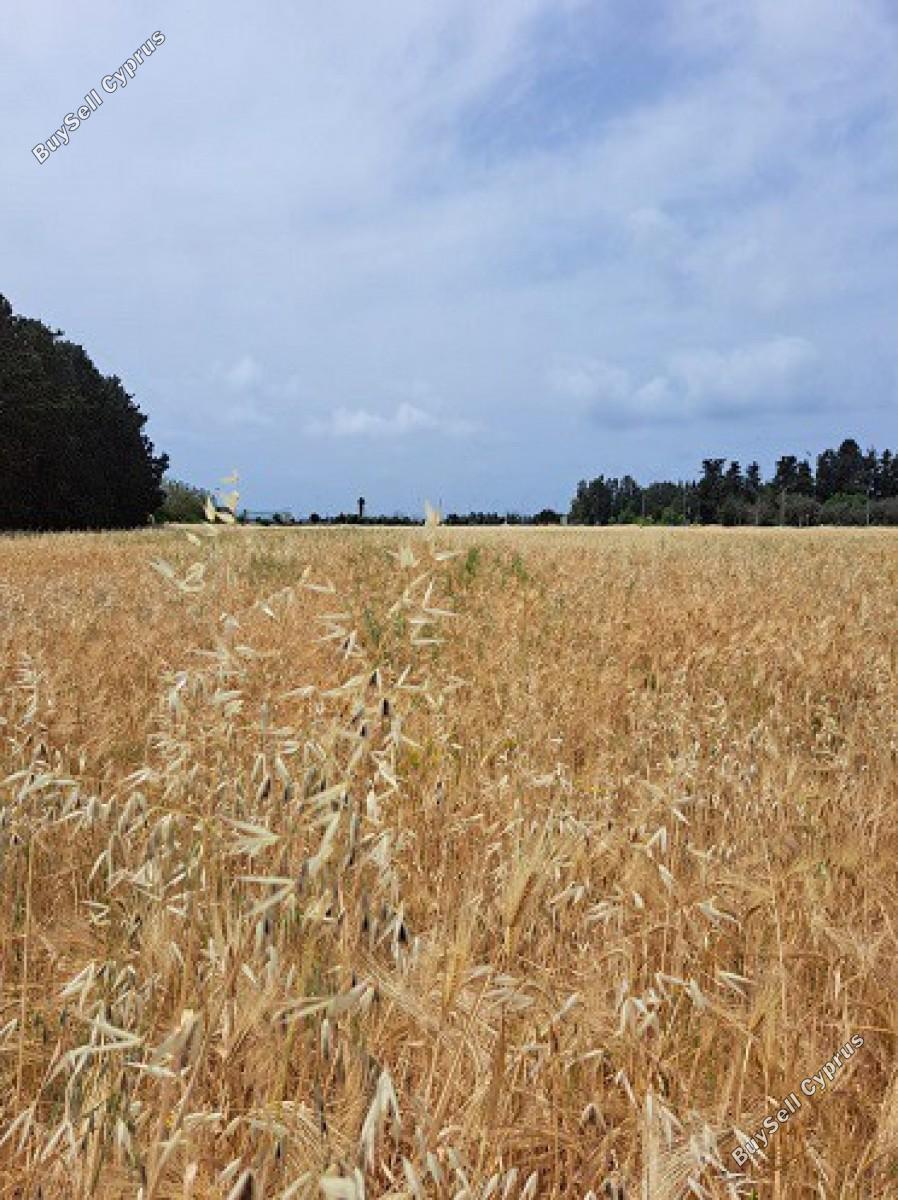 land for sale geroskipou paphos 8395963 image 14822608
