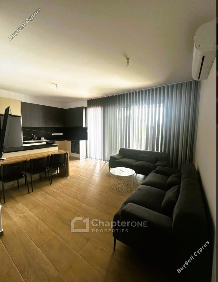 1 bedroom apartment for rent strovolos nicosia 8345073 image 16338875