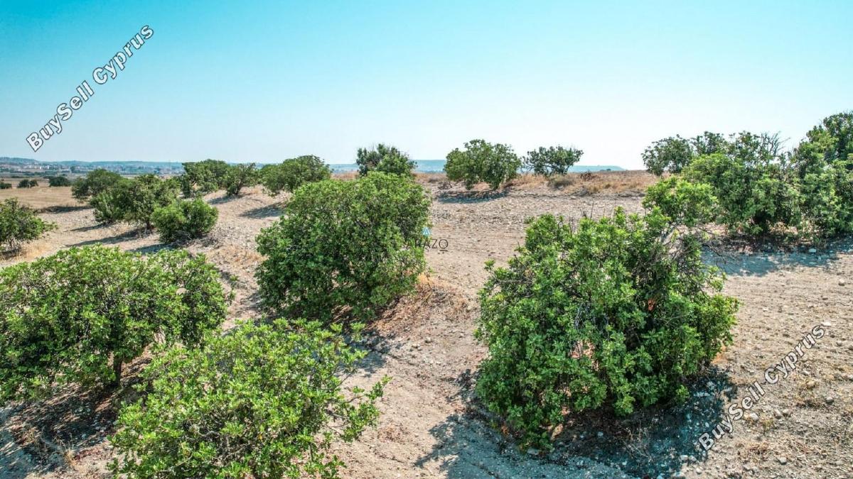 land for sale oroklini larnaca 958073 image 5604750