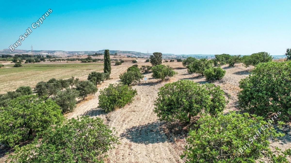 land for sale oroklini larnaca 958073 image 5604754