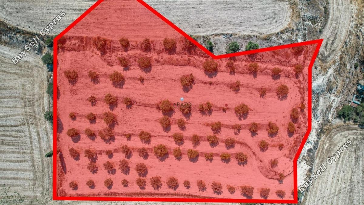 land for sale oroklini larnaca 958073 image 5604766