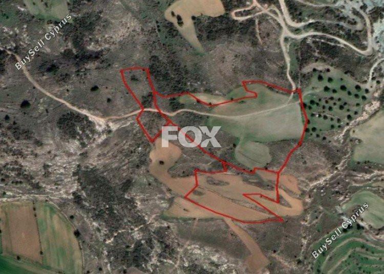 land for sale armou paphos 1159173 image 5519073