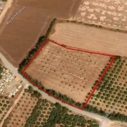land for sale mandria pafou paphos 8847173 image 17095550