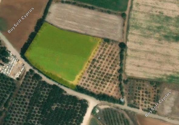 land for sale mandria pafou paphos 8847173 image 17095552
