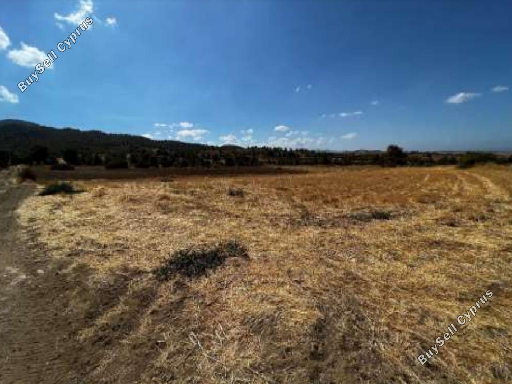 land for sale nikitari nicosia 1101173 image 7646956