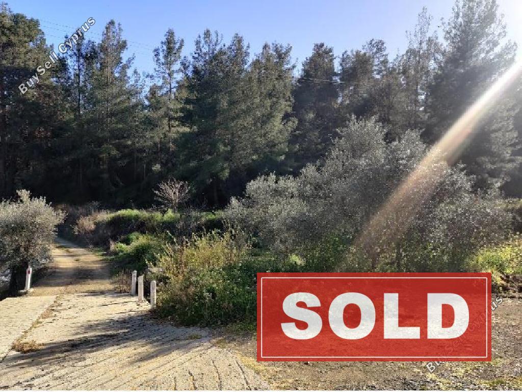 land sold agios mamas limassol 8434173 image 15005820