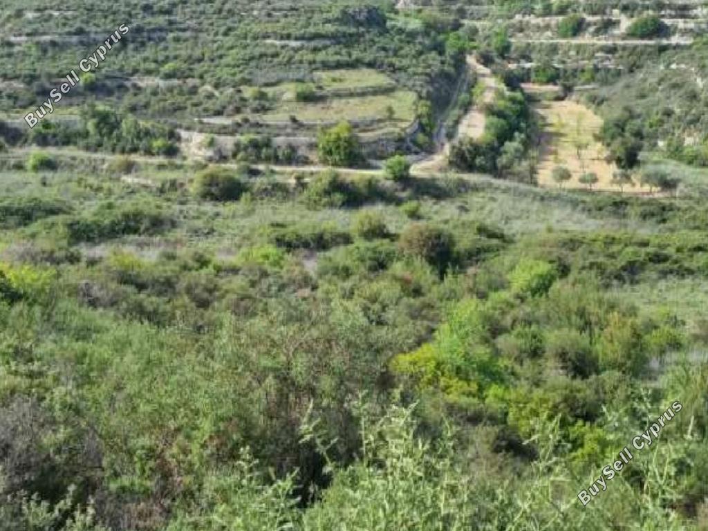 land for sale pachna limassol 1084273 image 15602079