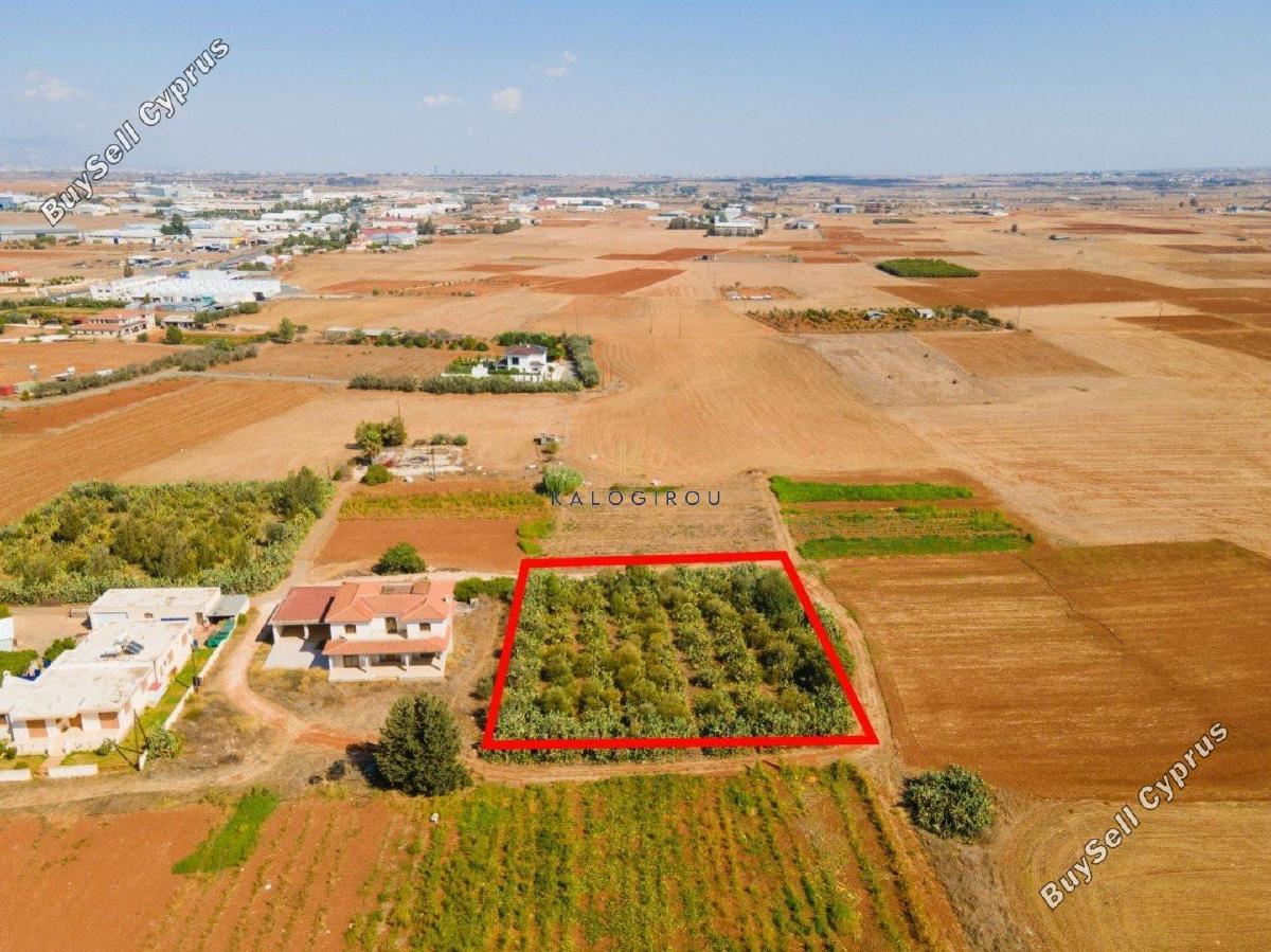 plot for sale kokkinotrimithia nicosia 1195273 image 5576942
