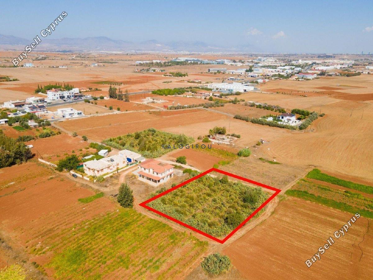 plot for sale kokkinotrimithia nicosia 1195273 image 5576944