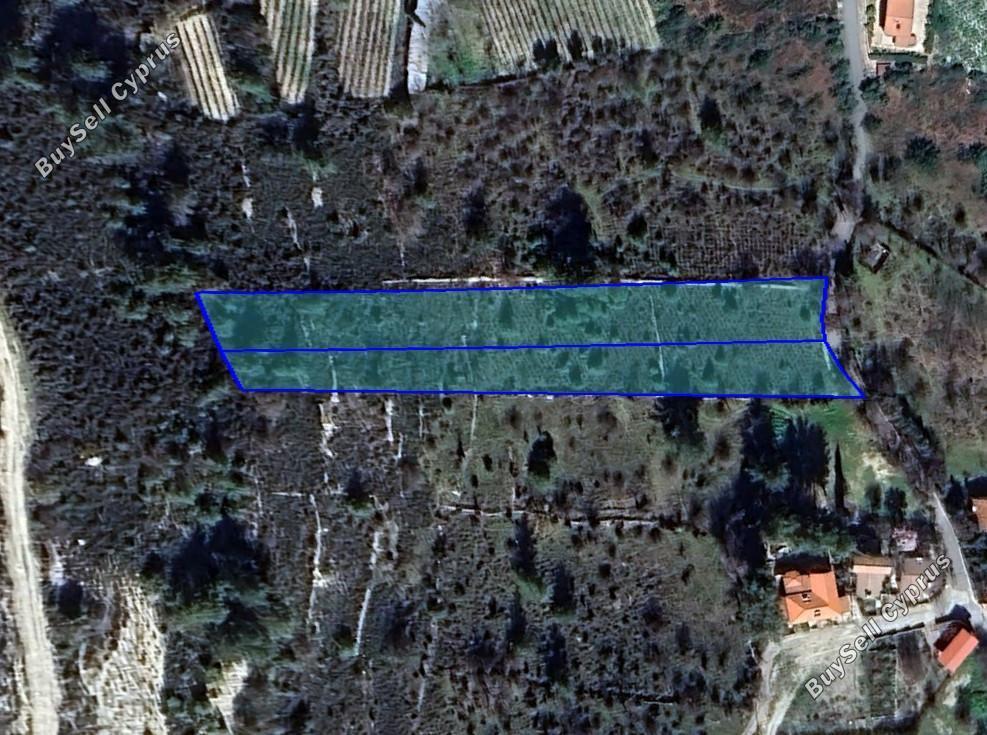 plot for sale pera pedi limassol 1831273 image 6468384
