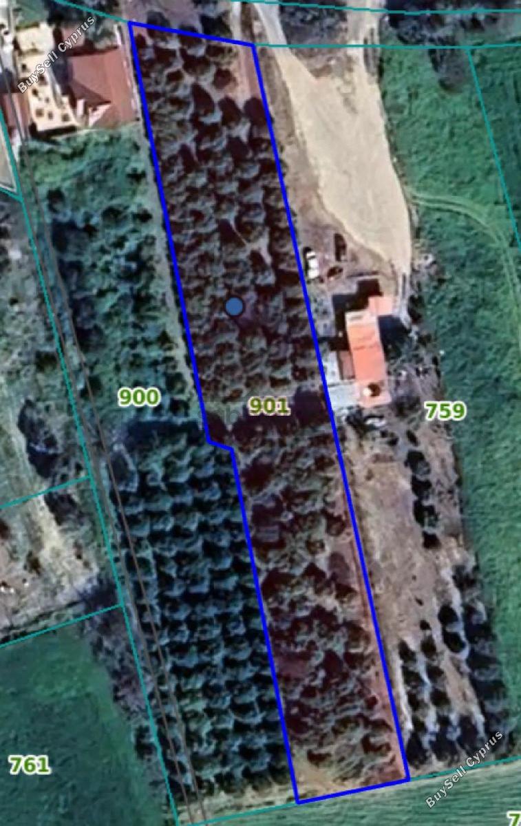 3240 SQM Land for sale in Kolossi, Limassol 16403618
