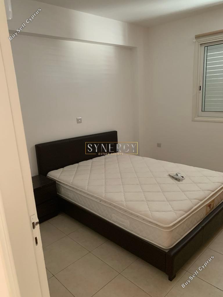 2 bedroom apartment for rent agios dometios nicosia 8302373 image 16849306