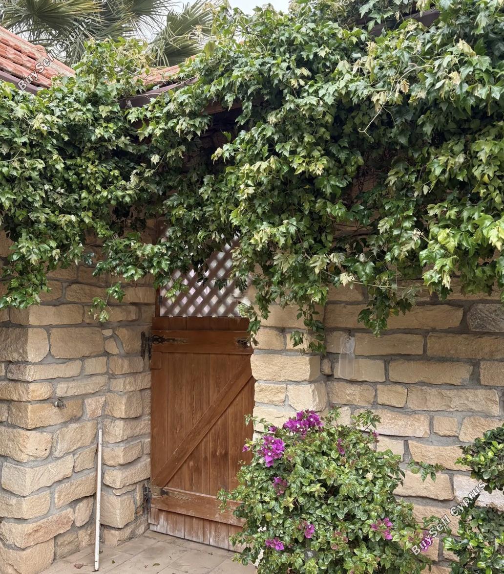 3 bedroom detached house for rent maroni larnaca 8633373 image 15879616