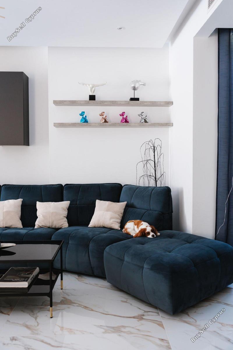 4 bedroom detached house for rent dekeleia larnaca 8791373 image 16674225