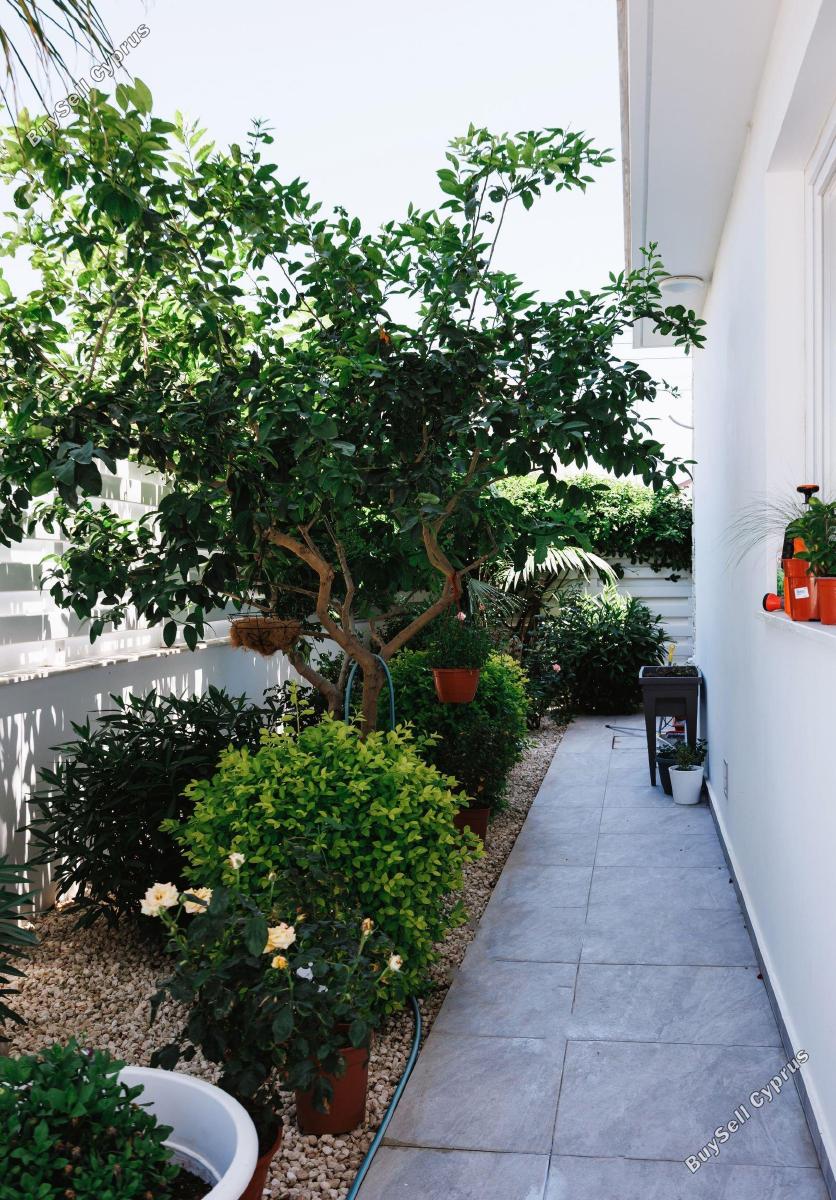 4 bedroom detached house for rent dekeleia larnaca 8791373 image 16674323