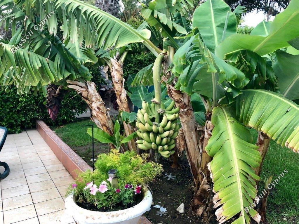 5 bedroom detached house for sale pervolia larnaca 8537373 image 15487117