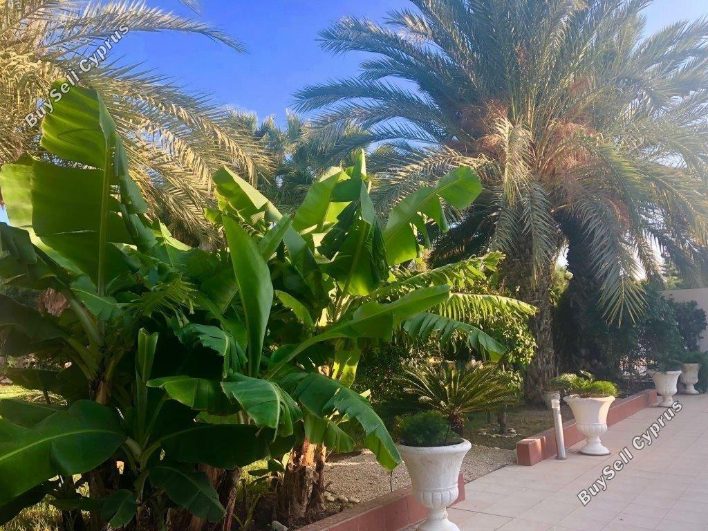 5 bedroom detached house for sale pervolia larnaca 8537373 image 15487122