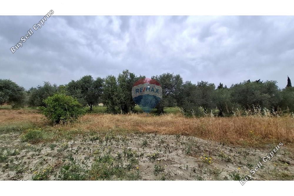 land for sale erimi limassol 1504373 image 14129512