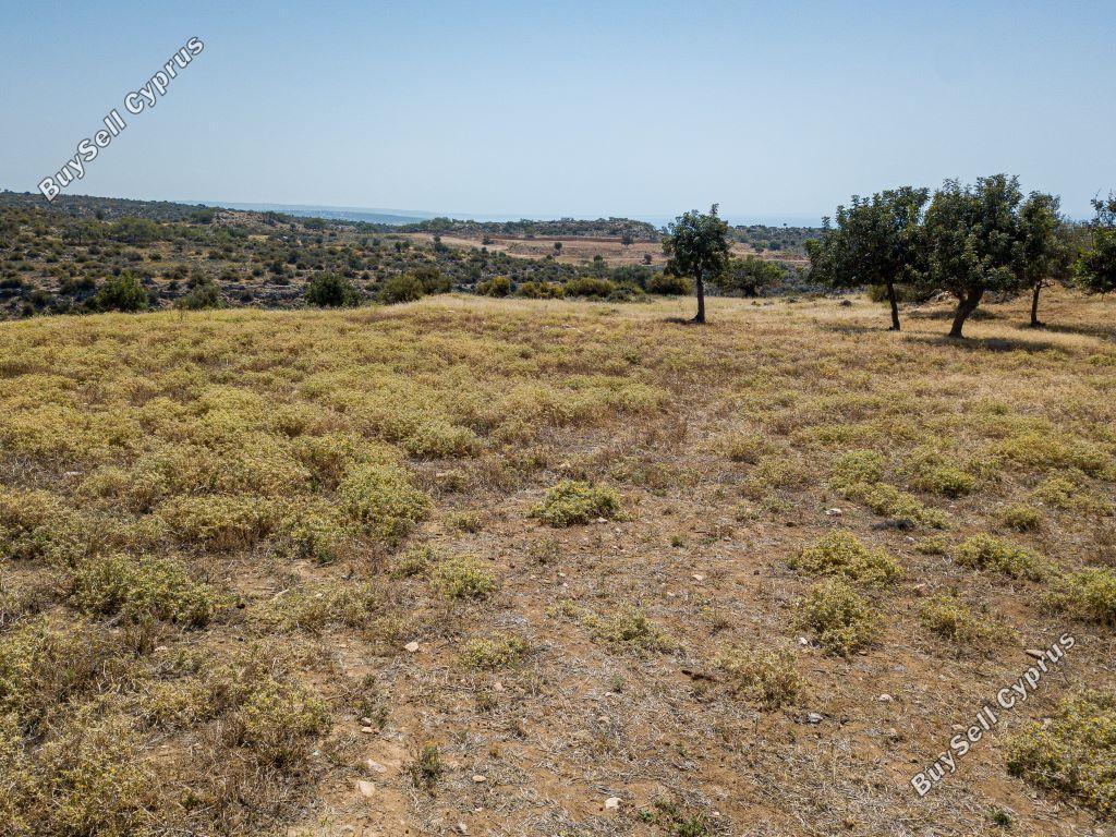 land for sale pissouri limassol 946373 image 15601404