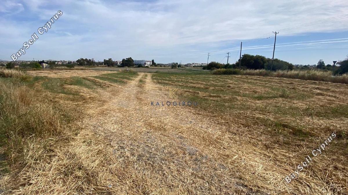 plot for sale mazotos larnaca 1195373 image 5577862