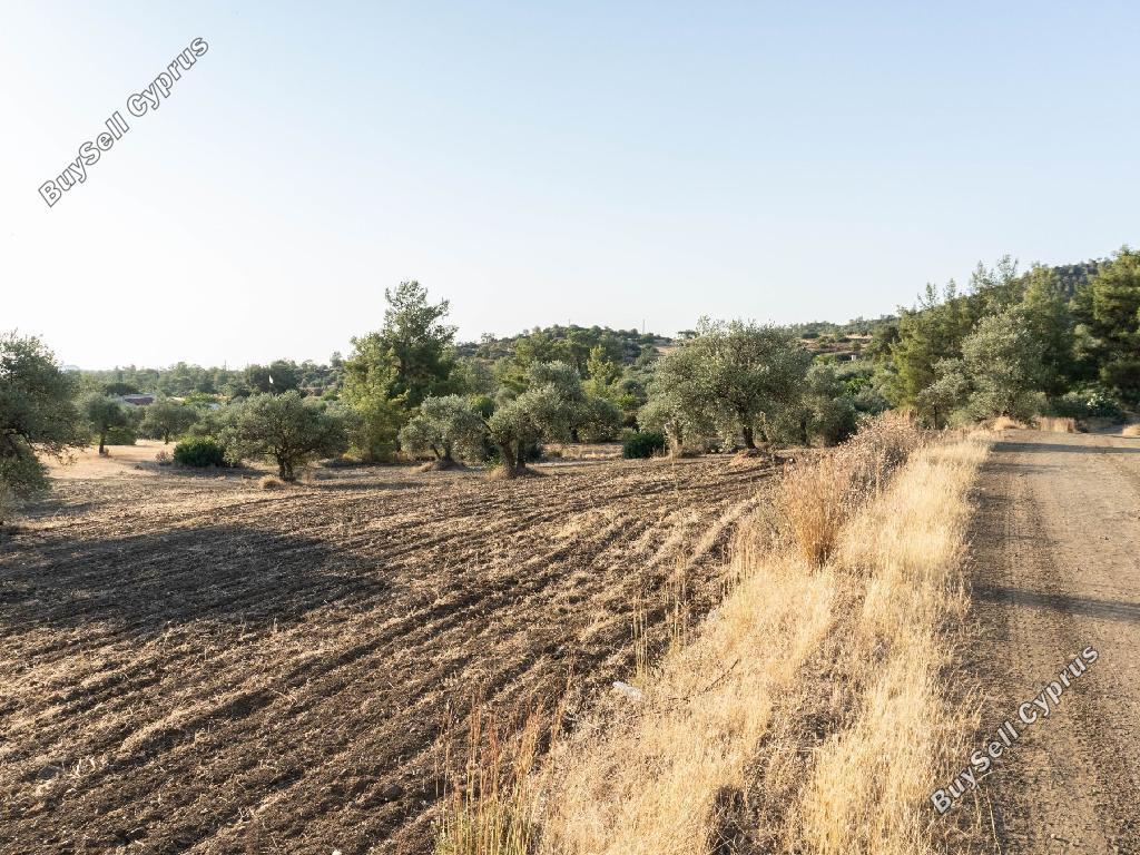land for sale lythrodontas nicosia 1048473 image 15601968