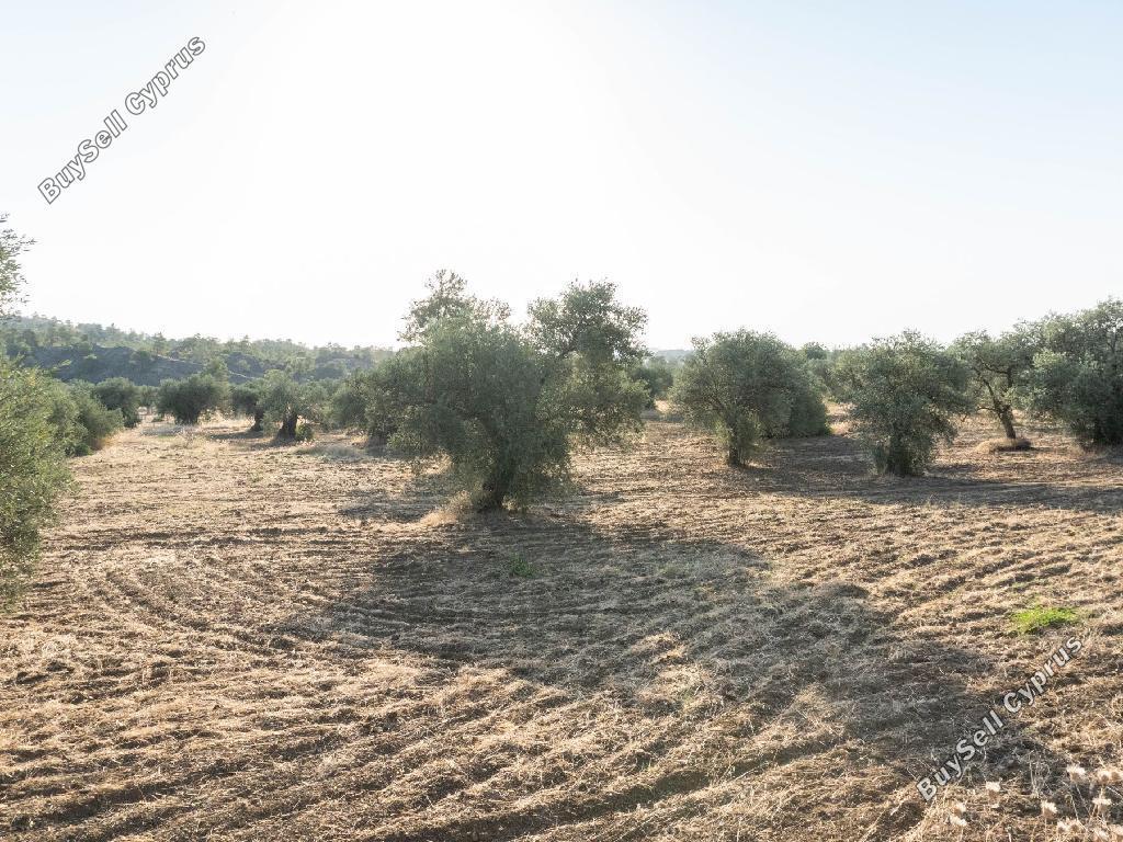land for sale lythrodontas nicosia 1048473 image 15601969