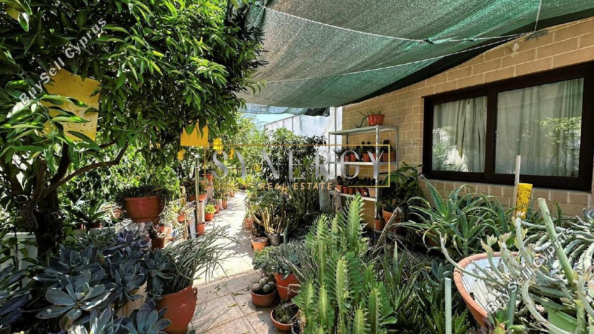 4 bedroom detached house for sale mitsero nicosia 1493573 image 5251321