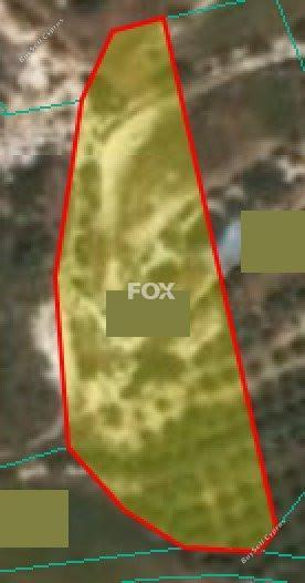 land for sale pissouri limassol 1146573 image 5506666