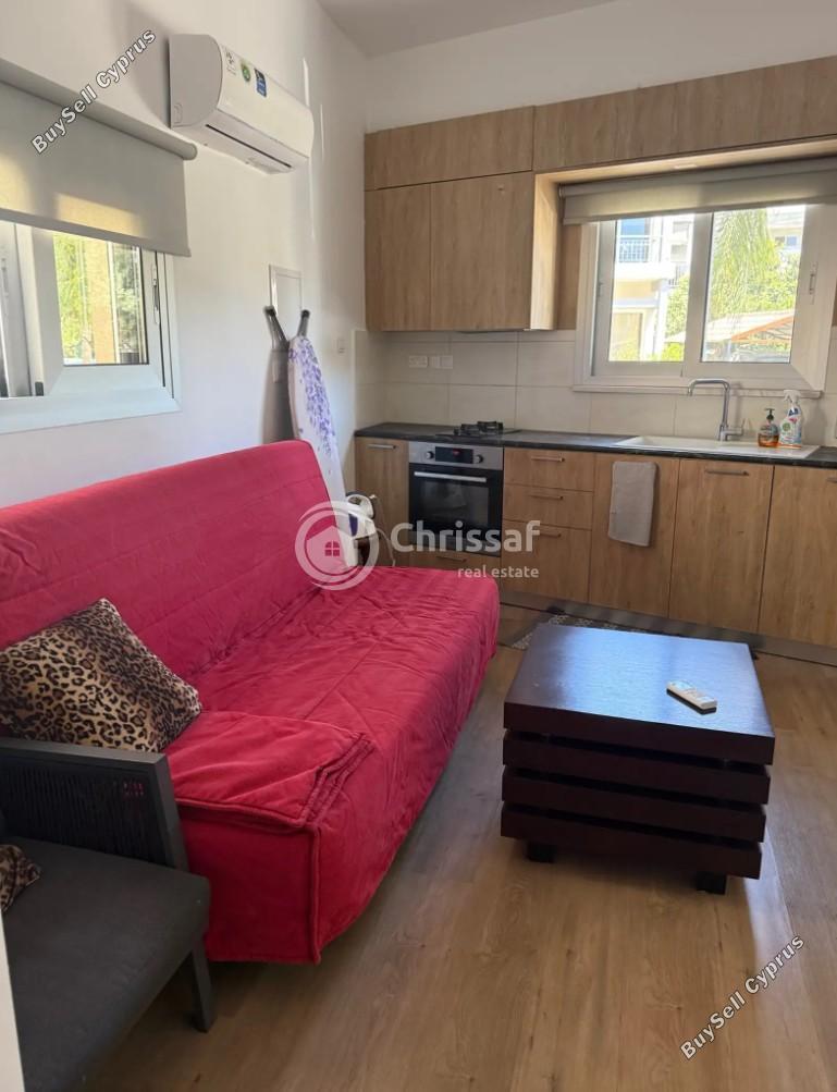 1 bedroom detached house for rent apostolos andreas limassol limassol 8880673 image 17296572