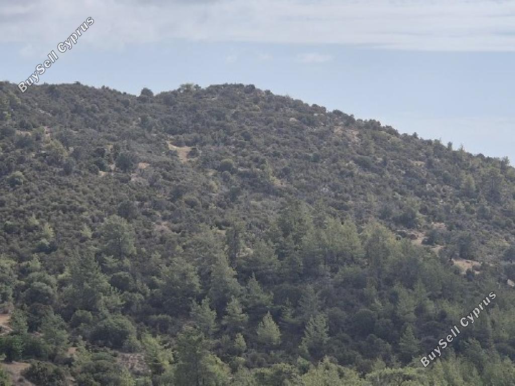 land for sale archimandrita paphos 1877673 image 15597043