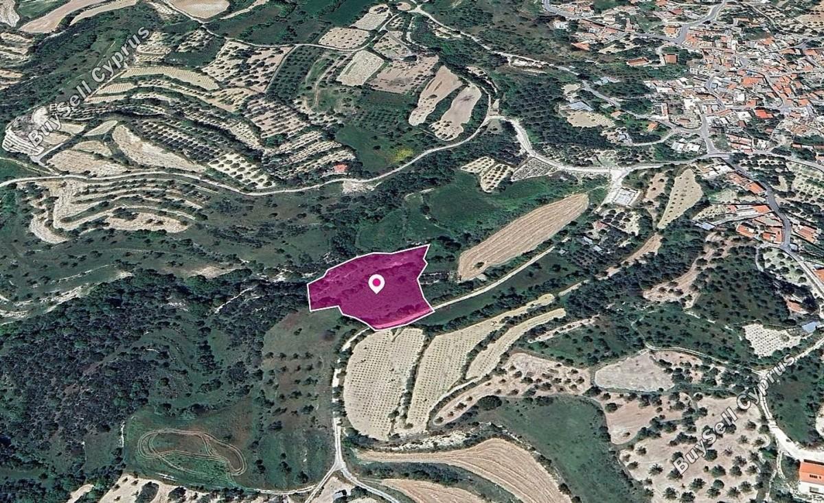 land for sale kallepeia paphos 8629673 image 15869497