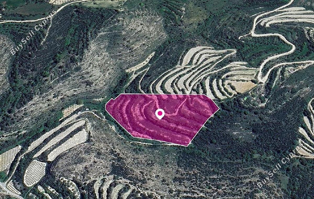 land for sale koili paphos 1897673 image 14207292