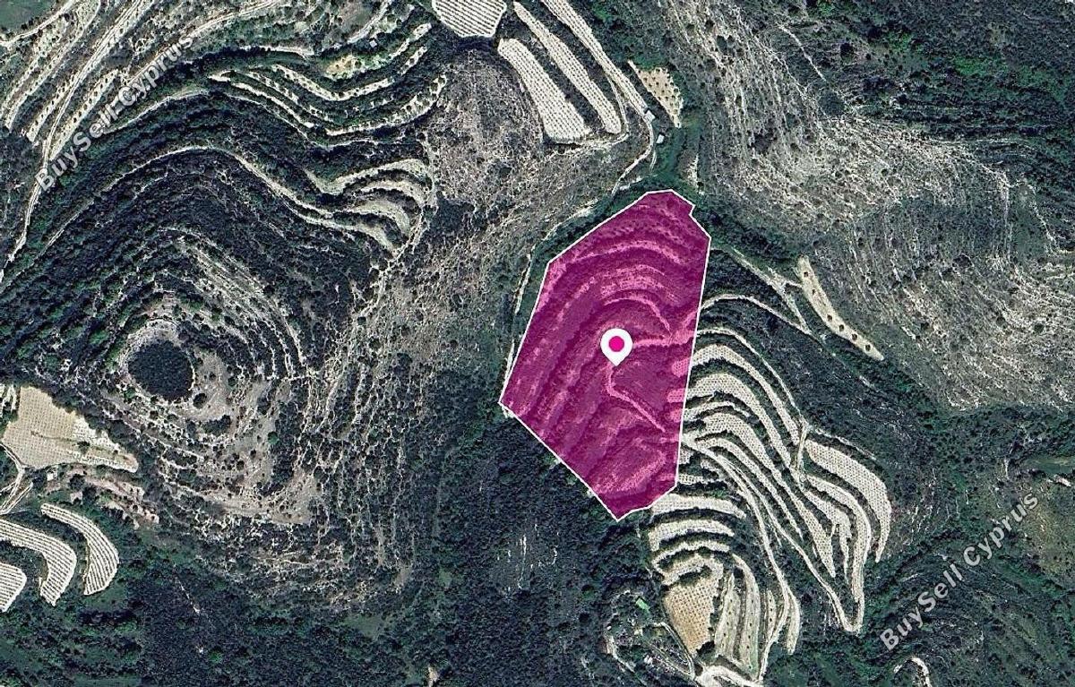 land for sale koili paphos 1897673 image 14207294