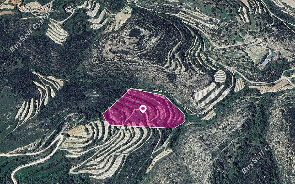 land for sale koili paphos 1897673 image 14207297