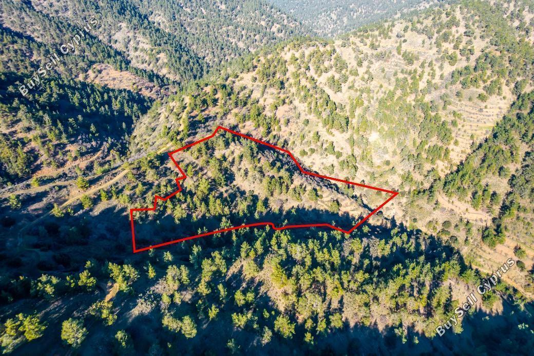 land for sale orounta nicosia 839673 image 5483422
