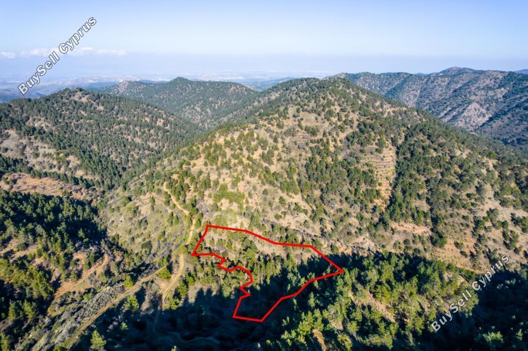 land for sale orounta nicosia 839673 image 5483428