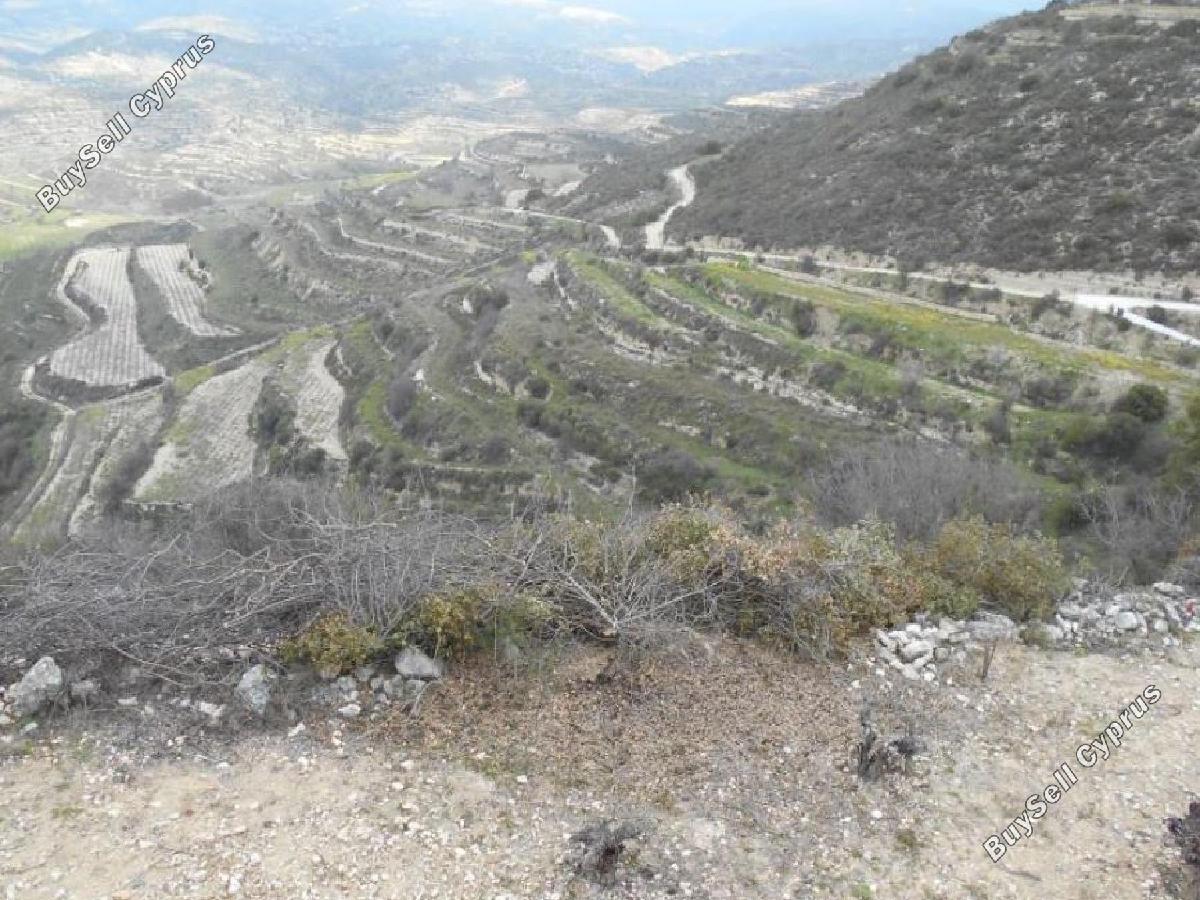 land for sale pachna limassol 8726673 image 16333287