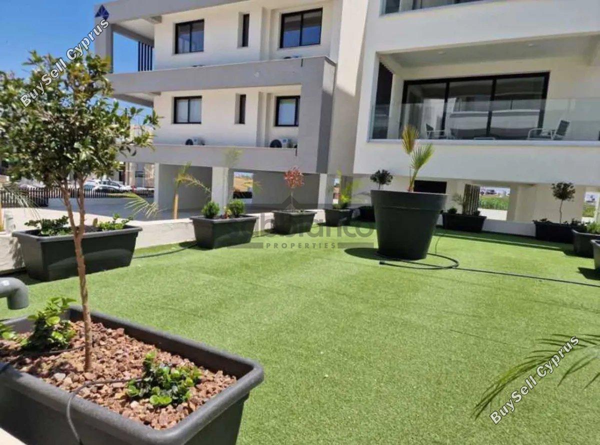 2 bedroom apartment for rent livadia larnacas larnaca 8739773 image 16374612