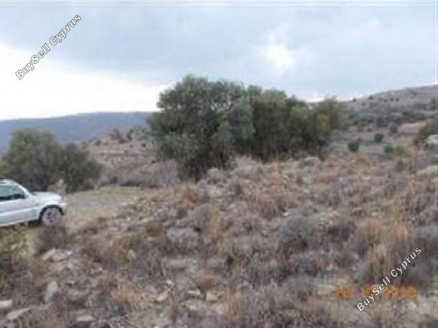 land for sale pentalia paphos 8630773 image 16278044