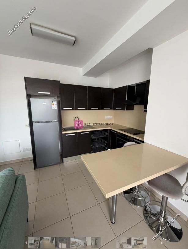 1 bedroom apartment for rent dasoupoli nicosia 8224873 image 16622024