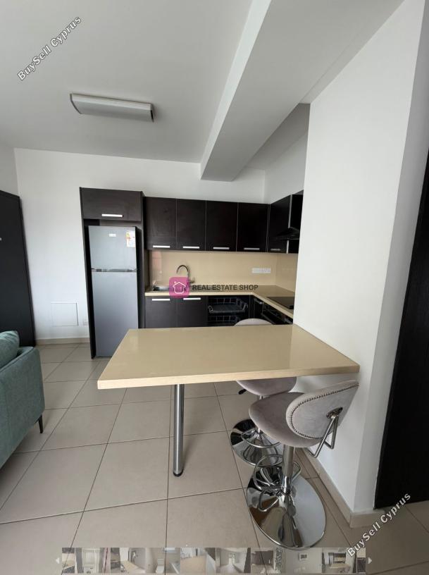 1 bedroom apartment for rent dasoupoli nicosia 8224873 image 16622043