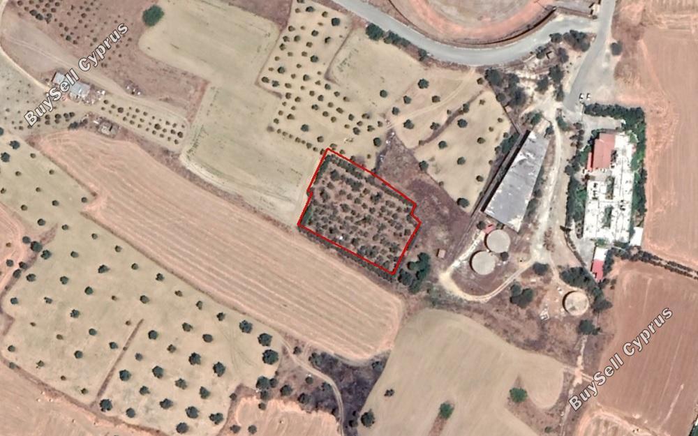 land for sale lakatamia nicosia 829873 image 2820404