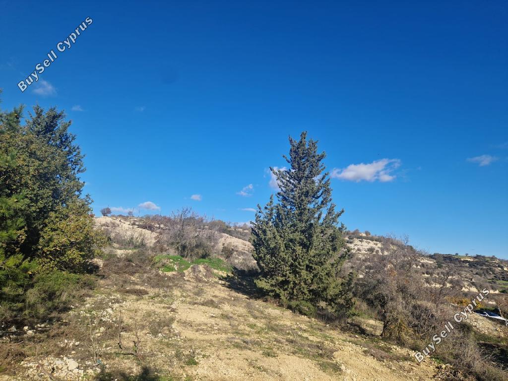 land for sale tsada paphos 8067873 image 13022228
