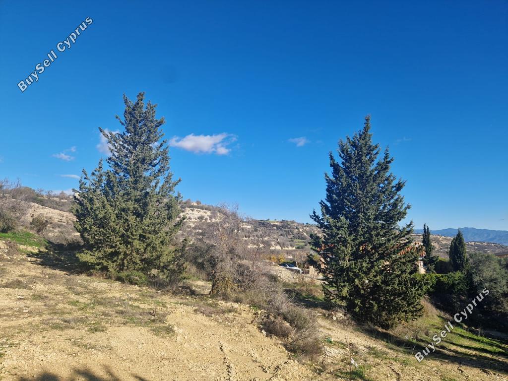 land for sale tsada paphos 8067873 image 13022229