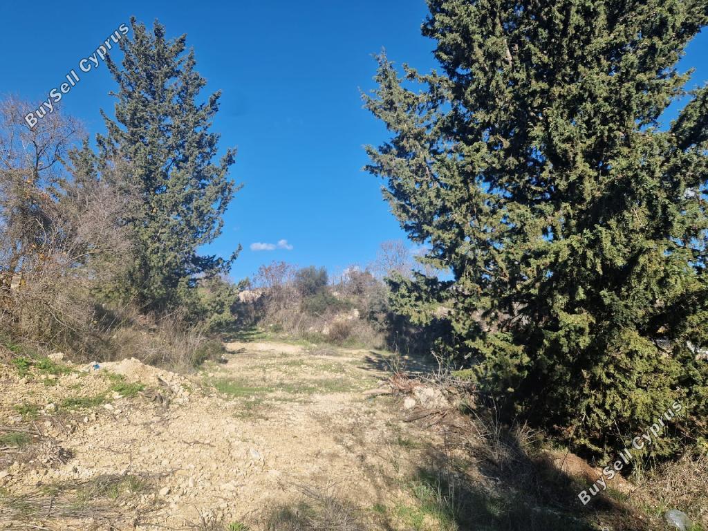 land for sale tsada paphos 8067873 image 13022232