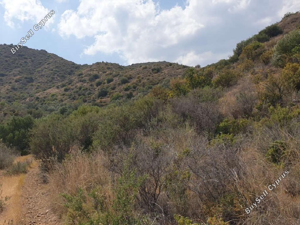 9700 SQM Land for sale in Vasa Kilaniou, Limassol 15600987
