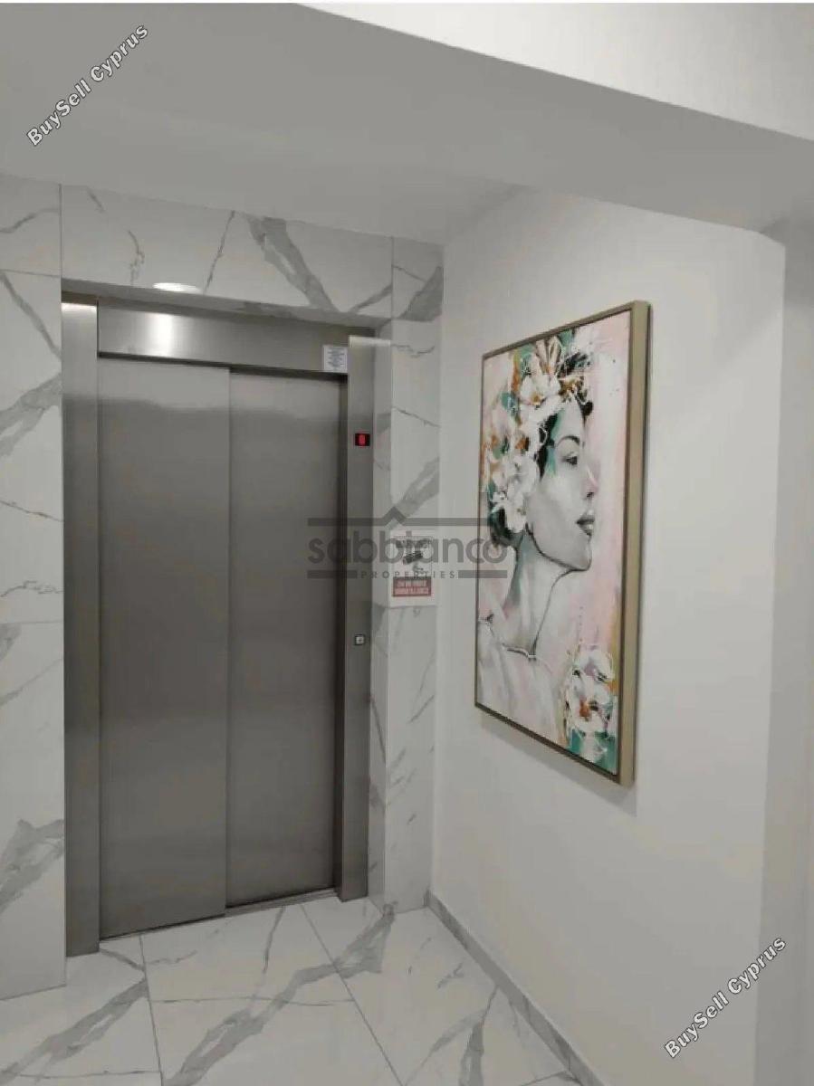 2 bedroom apartment for rent chrysopolitissa larnaca 8751973 image 16497743